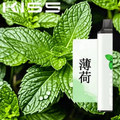凱斯 KISS|6500口 一次性